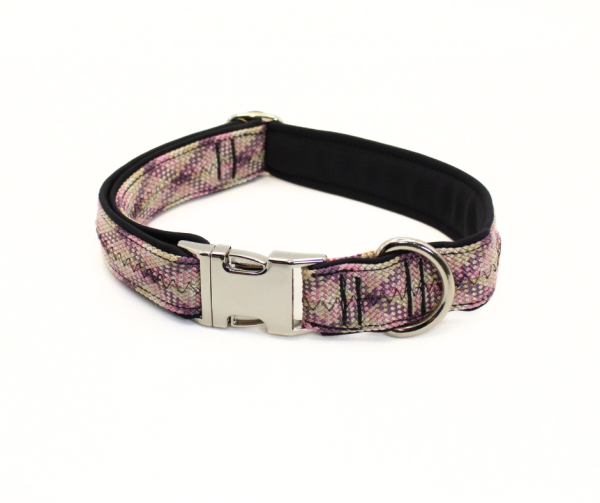 Halsband mit Metallschnalle, 2,5 cm